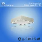 70W-100W QH Recessed Luminaire Series(Down Lighting) QHPL005