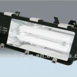 80W-150W Induction Tunnel Light Fixture RY-SL028