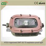 ATEX Approved DMT-30 T5 led explosion proof street lights DMT-30