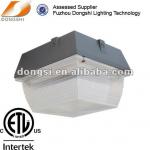 Canopy parking lot ceiling lighting DS-405