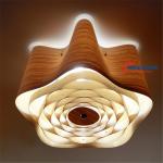 ceiling light fixtureC1009-60 C1009-60