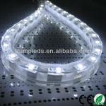 DC12V 5500K 5050 side emitting flexible waterproof led strips 5050