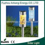 Decorative Stainless Steel Solar Lawn Lamp AK-SL-403