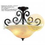 Design iron wrought ceiling lamp for coffee shop,iron wrought ceiling lamp with modern style TR025-2P