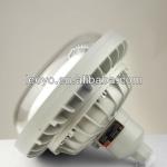 dW81 round type explosion-proof induction lamp (II C) dW81-D85w