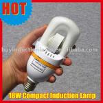 E27/E40 18W~80W Compact Self-ballast Induction Lamp 2700K/6500K 60000H home/hotel light every saving lamp SK-LF-18S