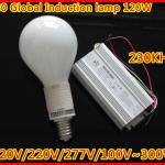 E40 global shape low frequency induction lamp 80W/100W/120W with 110V/120V/220V/277V/100V~300V SK-LF-120GE40