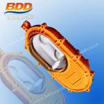 Electrodeless explosion proof lighting BDD-WFB-02