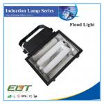 Electrodeless Flood Induction Light with Self Ballast Low Frequency TG704 Induction Light