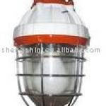 Electrodeless induction lamp for Explosion-proof lights SN