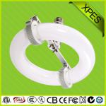 Electromagnetic induction lamp for price XP-tube and ballast