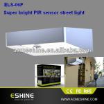 ELS-06P 2W solar light with Day/Night sensor waterproof and long life time ELS-06P