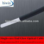 End Glow Plastic Ceiling Optic Fiber Lighting LC