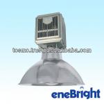 Energy saving electrodeless work lamp with the ability to withstand harsh temperatures 100-1-P1-07