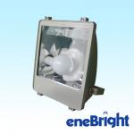 Energy saving highly reliable electrodeless lamp enebright for ceiling light 100-1-P1-14