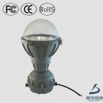 Engineering resin lampshade low frequency 40w 60w 90w ip65 induction Explosion proof Light DL-FB01E