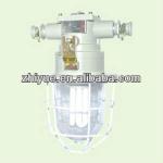 Explosion-proof Fluorescent Lighting DGS20