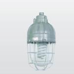 explosion-proof halogen lamp BAD810 BAD810 lamp