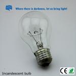 factory price E27 100W clear bulbs ST-A60-100 clear bulb