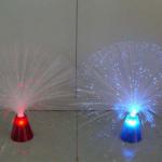 Fiber Optic Light