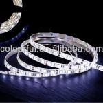 Flexible strip led light for decoration(CLF RDT-5050-60) RDT-5050-60S strip led light