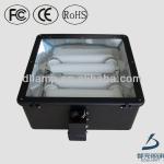 Good quality 5000k ip65 300w 400w football field lights DL-FG16E