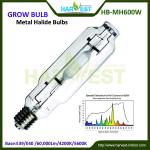 grow lamp/Indoor garden hydroponics/ light bulb HB-MH600W