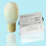 High frequency Induction Lamp with high qualities GL-60 GL-60