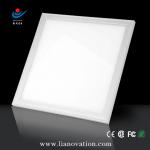 High Quality LED Light LH01B-020W