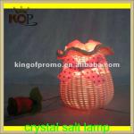 himalayan natural salt crystal lamp