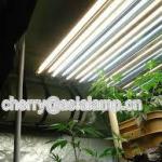 ho t5 648w Grow light fixture 54w 4ft 12 bulbs/ T5 HO fluorescent fixture 24w/54w 2ft/4ft 4bulbs/8bulbs YZ/FLP ho t5 648w