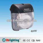 indoor induction light W-6003