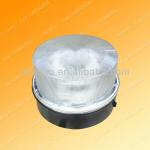 induction ceiling light