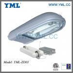 Induction Cobra Head street Light YML-ZD03-W200