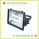 induction lamp 100-300V lamp and lights lamp solar 200W HB-FD001