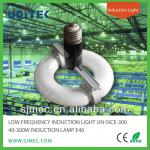 INDUCTION LAMP 40-300W E40, LOW FREQUENCY INDUCTION LIGHT UN-SICE-300