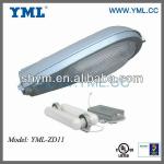 Induction Lamp Commercial Street Light ZDseries