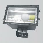 Induction Lamp For Tunnel Light SD-100 IP65 MOQ: 50 sets SD-100