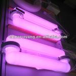 Induction plasma grow light RY-J