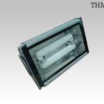 Induction Tunnel Light Fixture TL