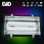 industial lighting induction lamp 06-503 light tunnel LVD-GT70000