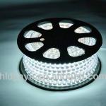 IP65 AC220V 5050 smd led flexible led strips light led headlight from cn360 JY-5050-w