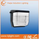 IP65 New type high quality waterproof led bulkheads video ml wall pack lights VE_WL_8602