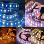 IP67 RGBW 5630 Led Strip QL-F5050C30-CX-12 88  IP67 RGBW 5630 Led Strip