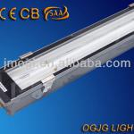 IP67 T5 wall lamp, waterproof fluorescent light, outdoor lighting fixture OG-ZT5-G35(X)