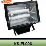 Kaisen induction landscape lighting KS-FL006