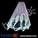 led fish light with CE certification BS-58A