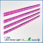 LED Grow Light T8 for Plant Growing R-LGL-15W(T8-1.2m)