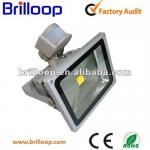 led ir sensor light BLP-FL50W01-PIR