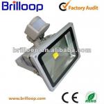 led motion sensor flood lights BLP-FL30W01-PIR